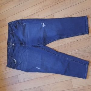 Lane Bryant Distressed Skinny Genius Fit Ankle Skimmers